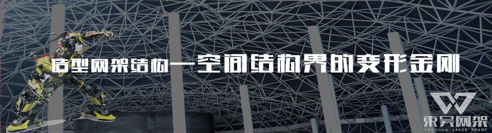 造型結(jié)構(gòu)網(wǎng)架